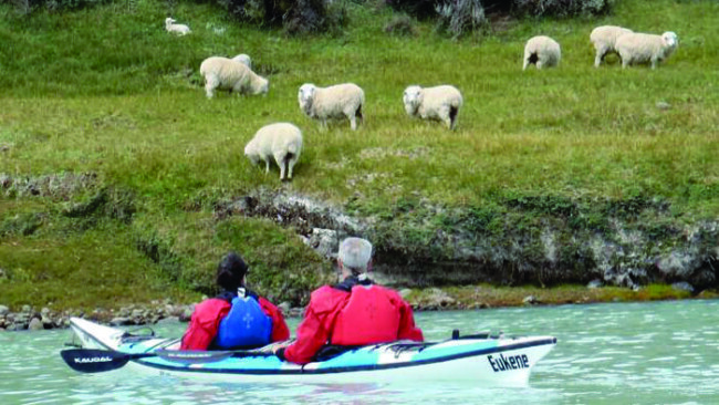 Kayak