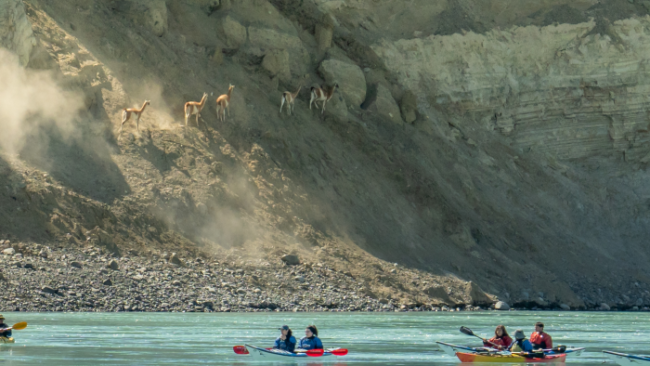 Kayak